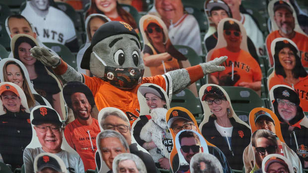 lou-seal